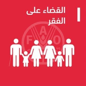 القضاء على الفقر