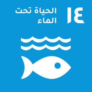 الحياة تحت الماء